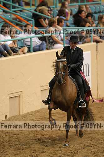 Proof 09yn-22772