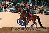 09yn-22777 proof