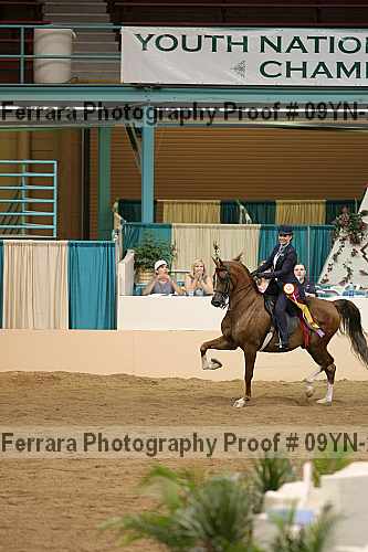 Proof 09yn-22782