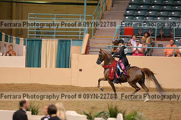 Proof 09yn-22788