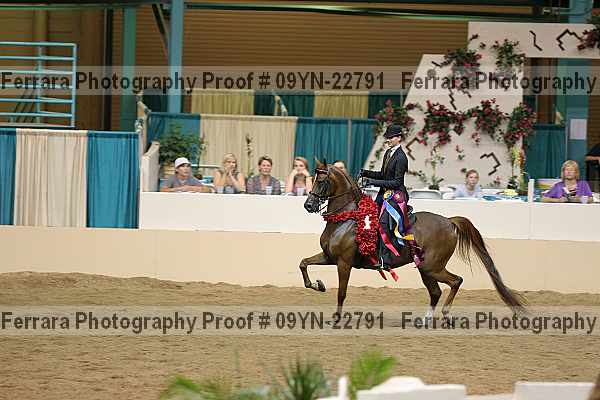 Proof 09yn-22791