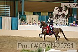 09yn-22791 proof