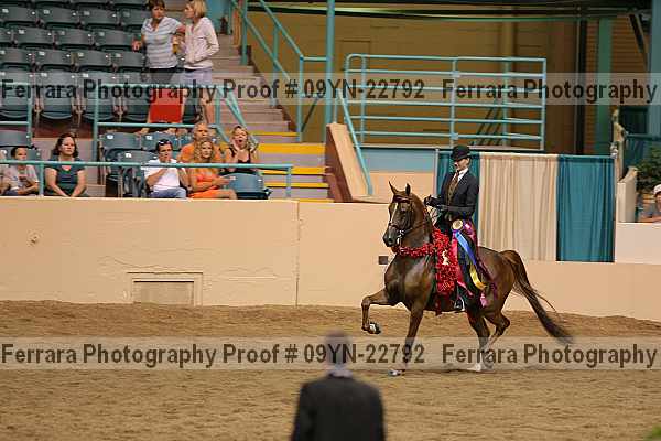 Proof 09yn-22792