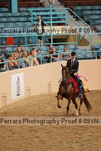Proof 09yn-22793