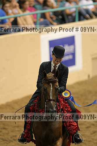 Proof 09yn-22798