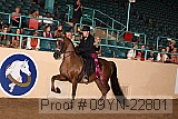 09yn-22801 proof