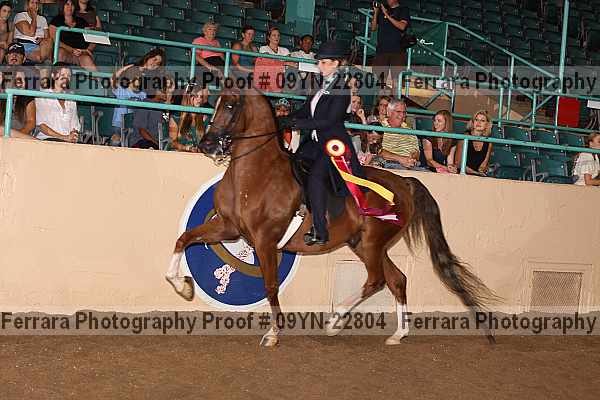Proof 09yn-22804