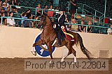09yn-22804 proof