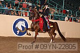 09yn-22805 proof