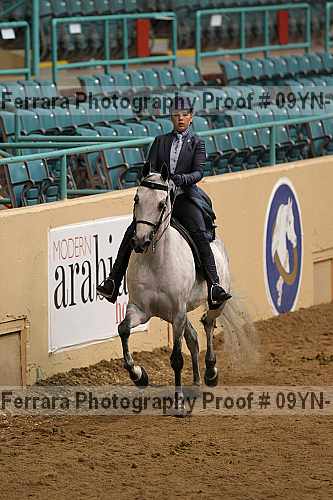 Proof 09yn-13081