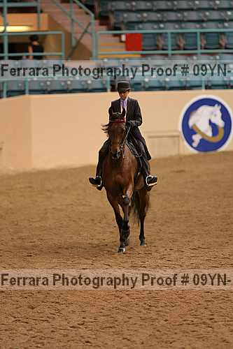 Proof 09yn-13082