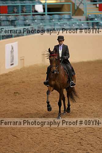 Proof 09yn-13083