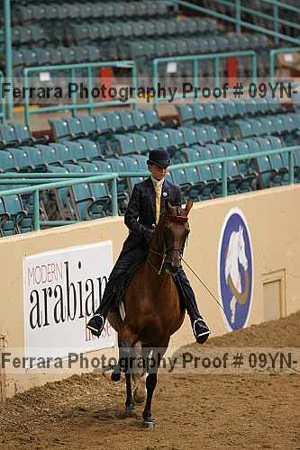 Proof 09yn-13086