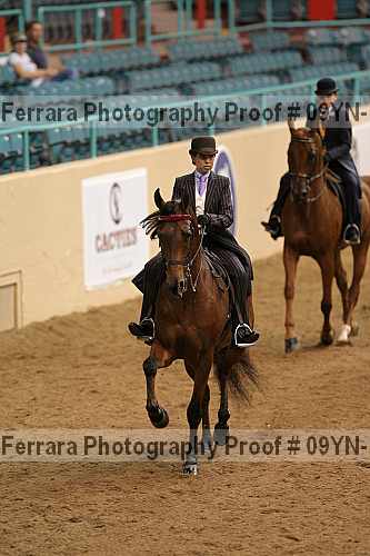 Proof 09yn-13087