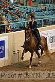 09yn-13093 proof