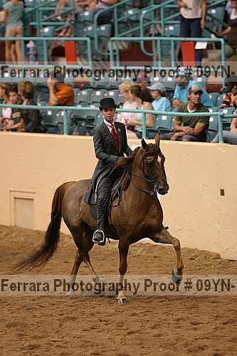 Proof 09yn-13101