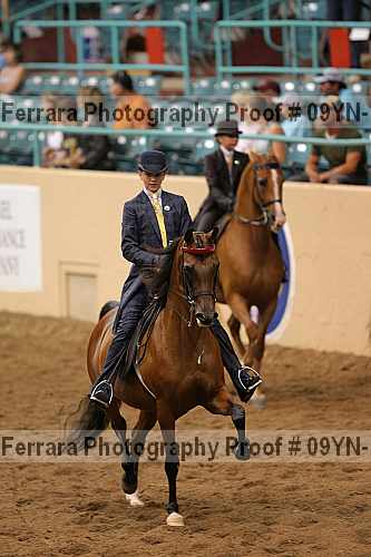 Proof 09yn-13102