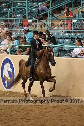Proof 09yn-13103