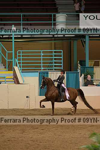 Proof 09yn-13105
