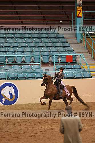 Proof 09yn-13106