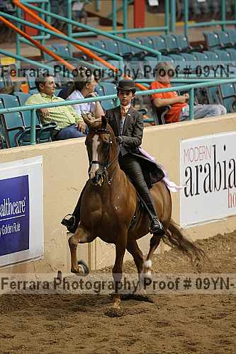 Proof 09yn-13107