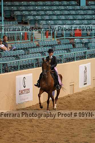 Proof 09yn-13108
