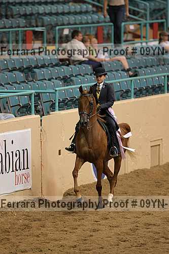 Proof 09yn-13109