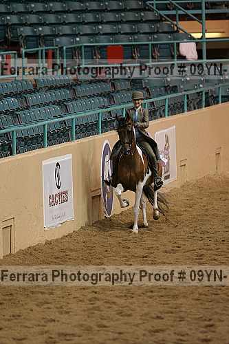 Proof 09yn-13116