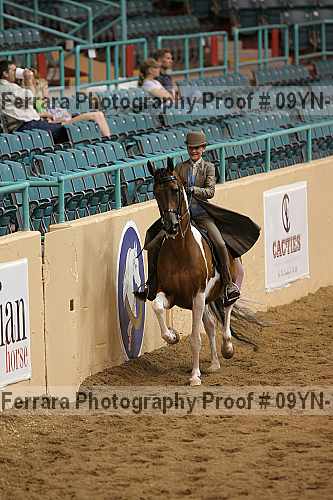 Proof 09yn-13117