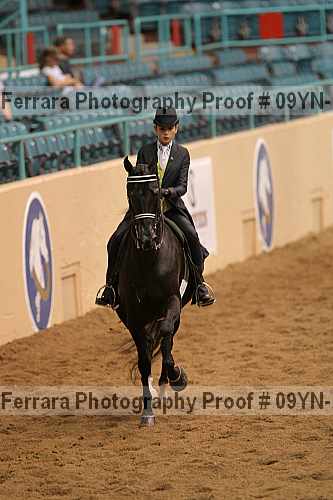 Proof 09yn-13119