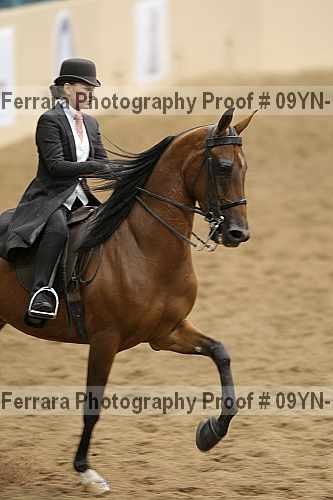 Proof 09yn-13123