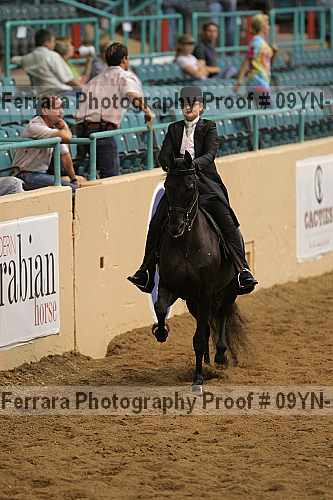 Proof 09yn-13124