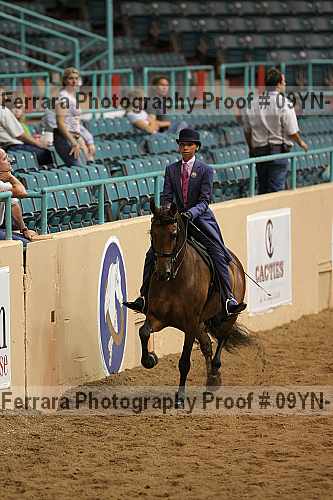 Proof 09yn-13125
