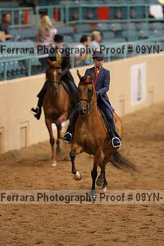 Proof 09yn-13126