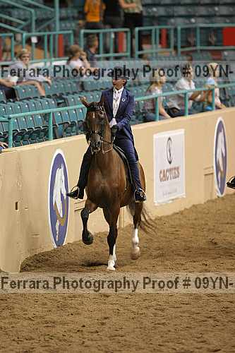 Proof 09yn-13127