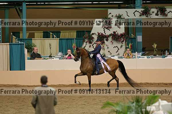Proof 09yn-13134
