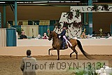 09yn-13134 proof