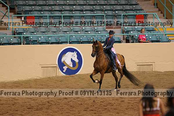 Proof 09yn-13135