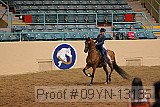 09yn-13135 proof