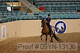 09yn-13136 proof