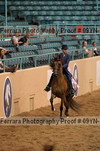 Proof 09yn-13137