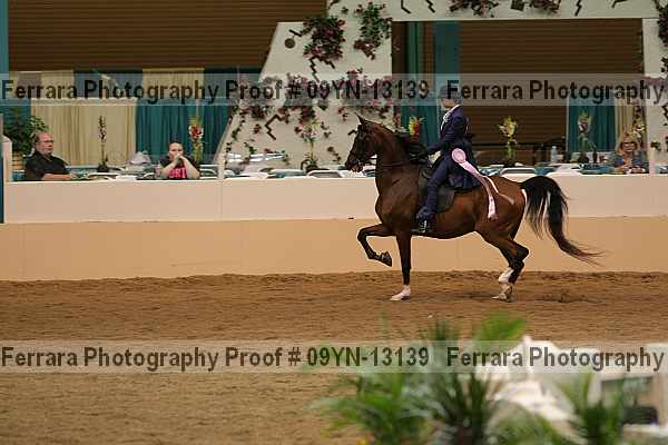 Proof 09yn-13139