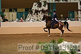 09yn-13139 proof