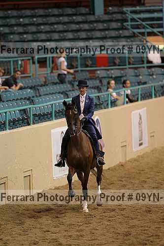 Proof 09yn-13140
