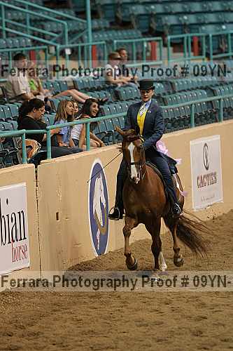 Proof 09yn-13142