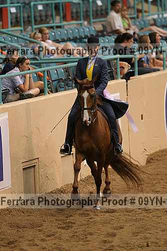 Proof 09yn-13143
