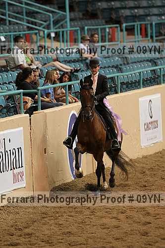 Proof 09yn-13145