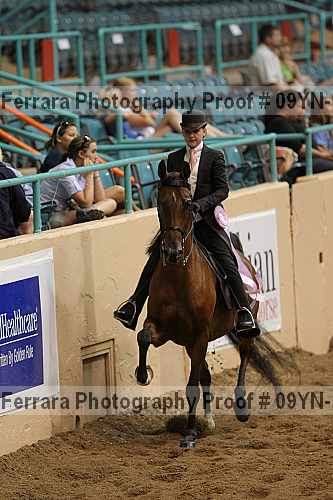 Proof 09yn-13146