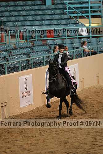 Proof 09yn-13147