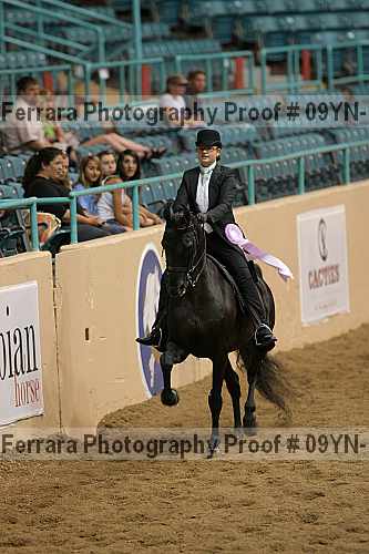 Proof 09yn-13148